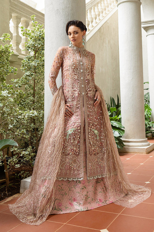 Mushq - Hemline Inception Wedding Collection '25