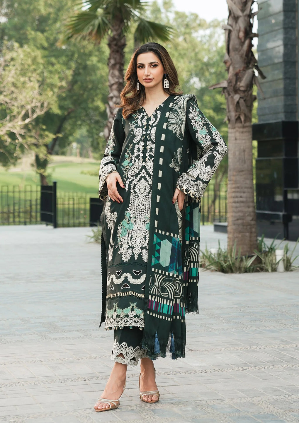 Elaf - Winter Pashmina Shawl Collection '24
