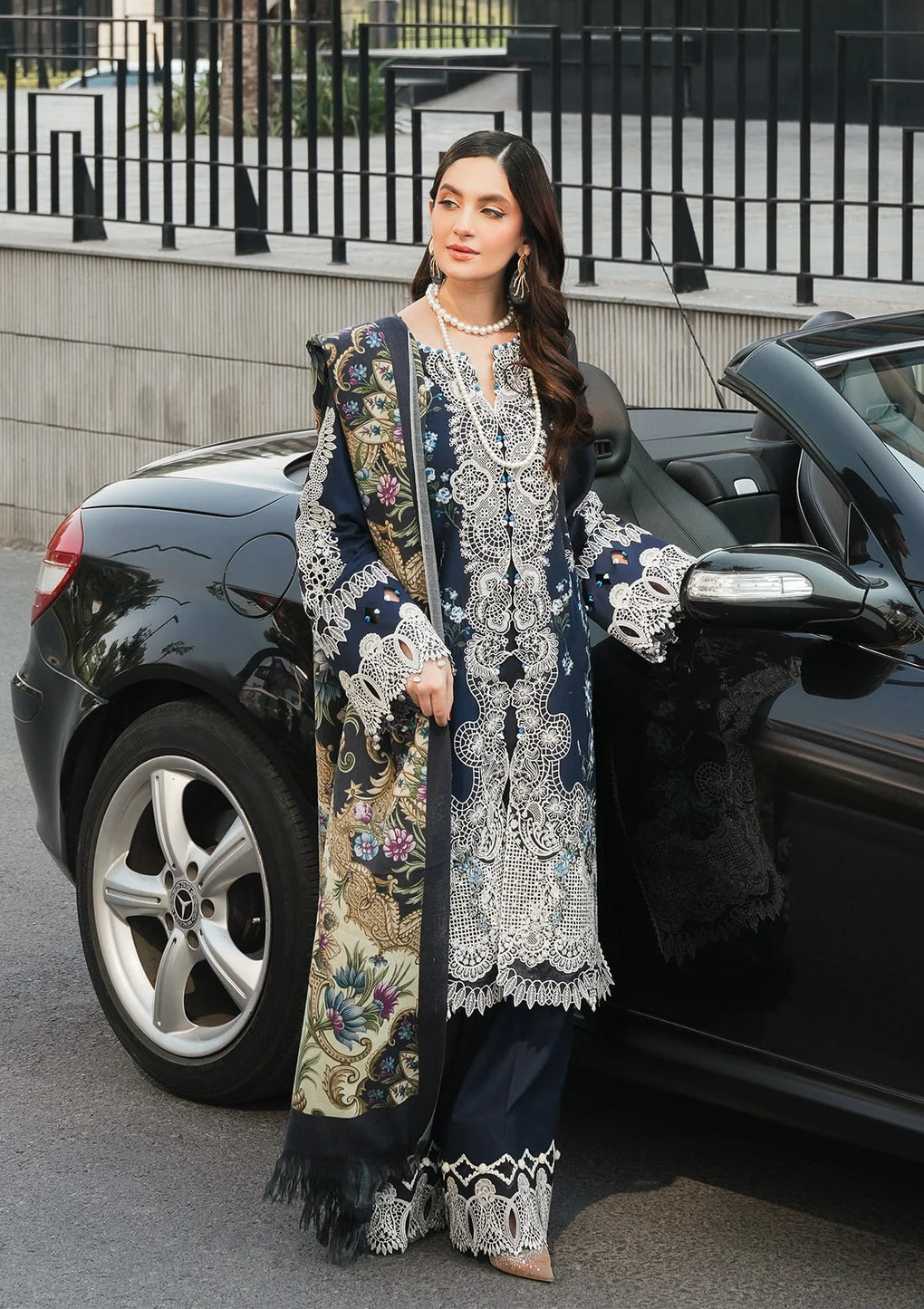 Elaf - Winter Pashmina Shawl Collection '24