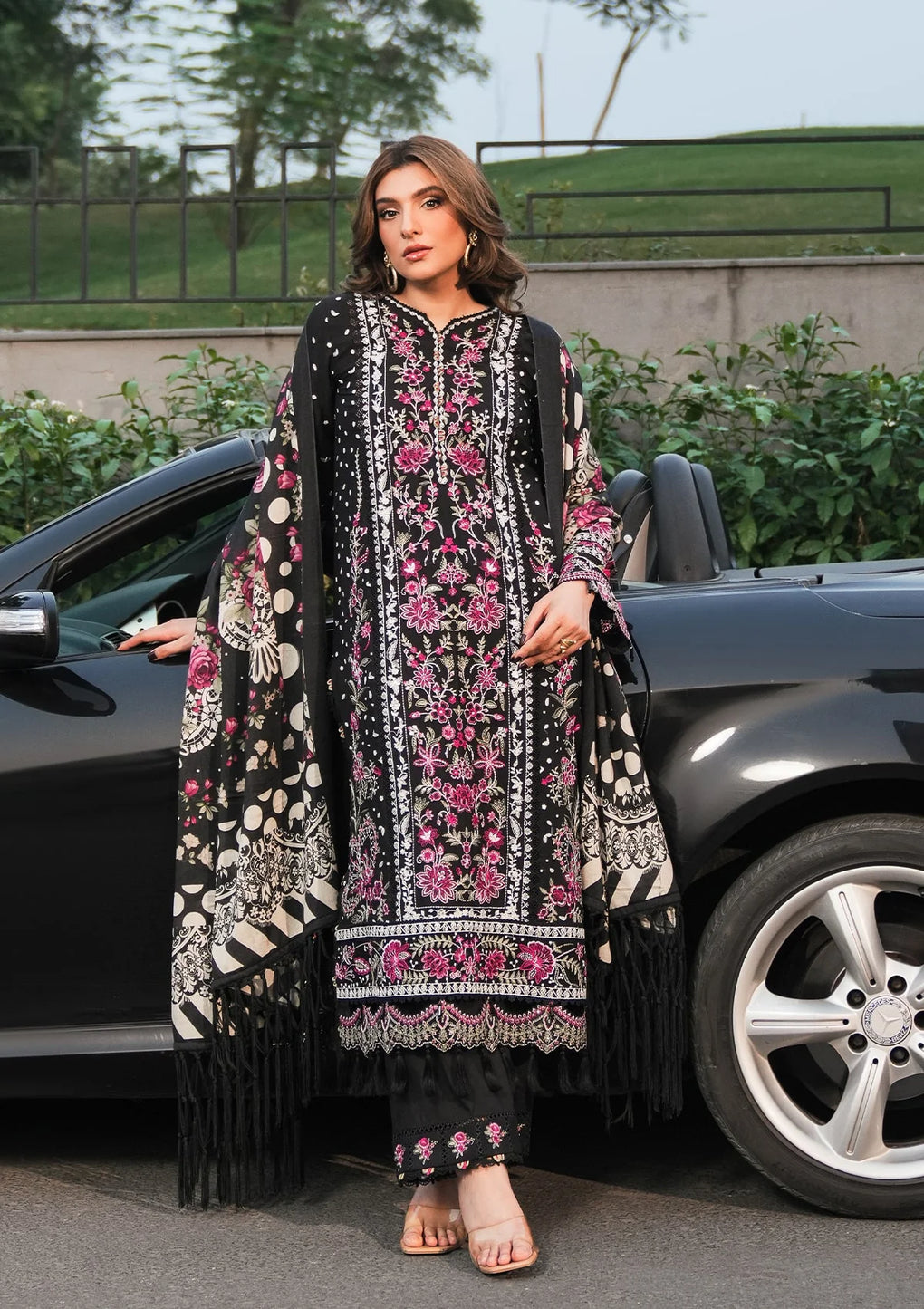Elaf - Winter Pashmina Shawl Collection '24