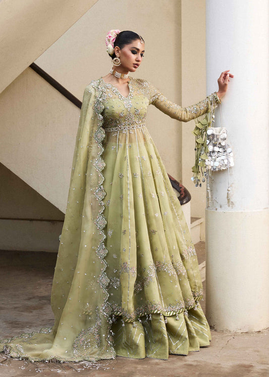 Hussain Rehar - Darlings Festive Collection '25