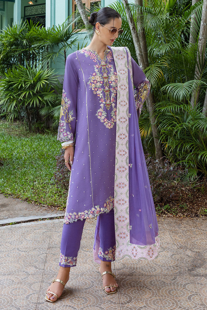 Mushq - Hemline Nuvera Collection '25