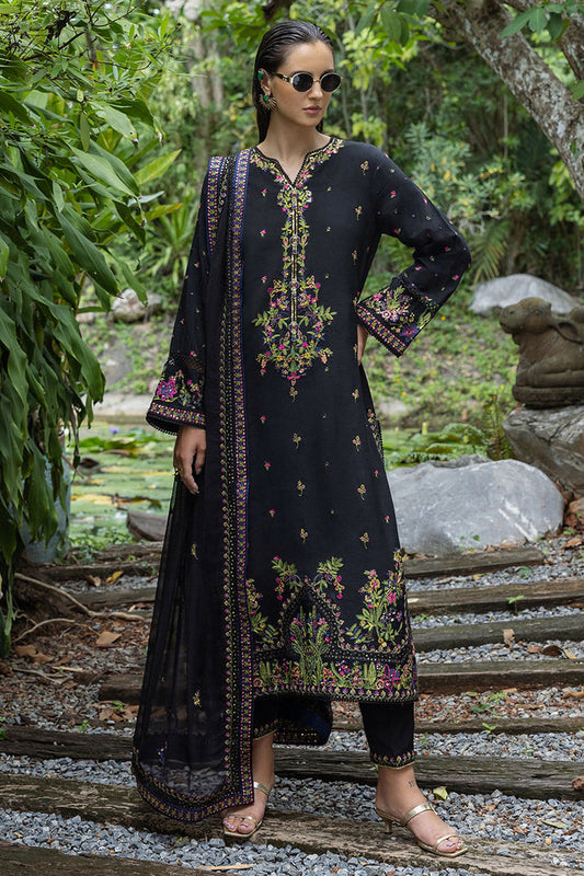 Mushq - Hemline Nuvera Collection '25