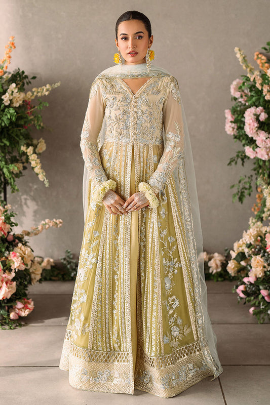 Mushq - Mastani Evening Luxury Chiffon Collection ’24