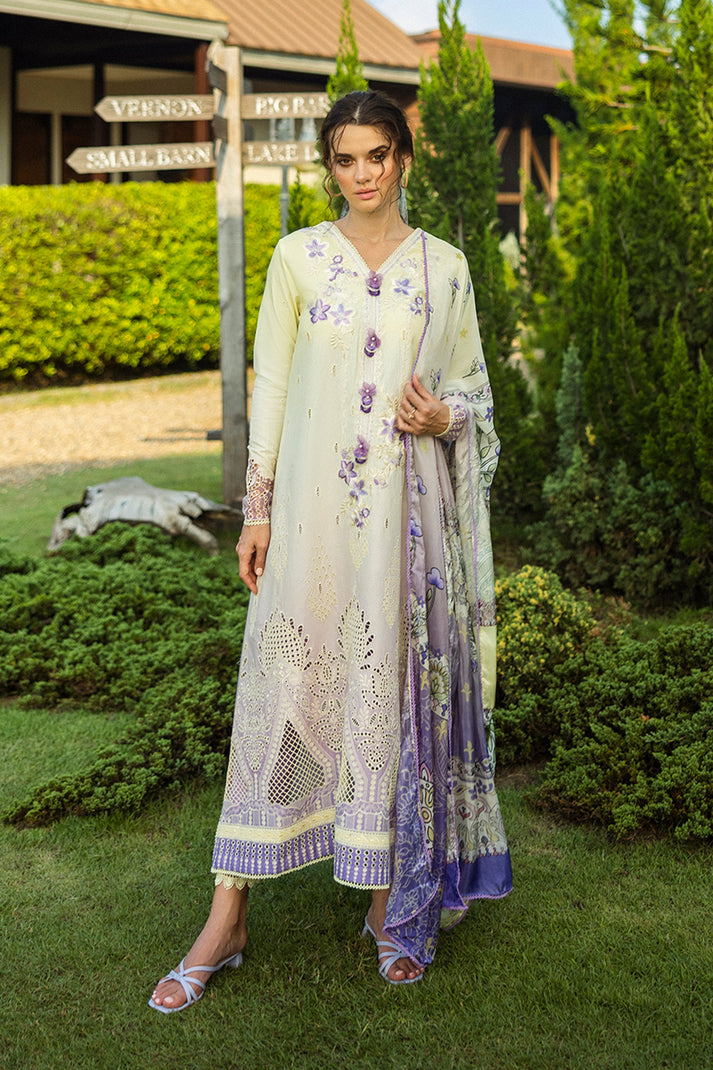 Mushq - Ombre Chickenkari Solace '25