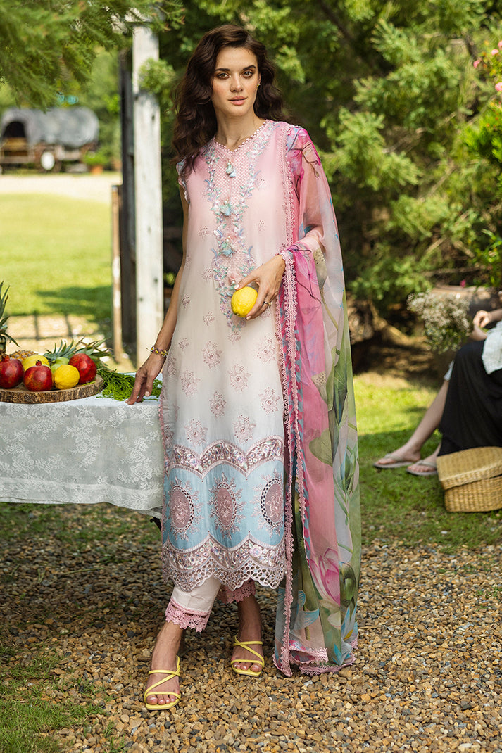 Mushq - Ombre Chickenkari Solace '25