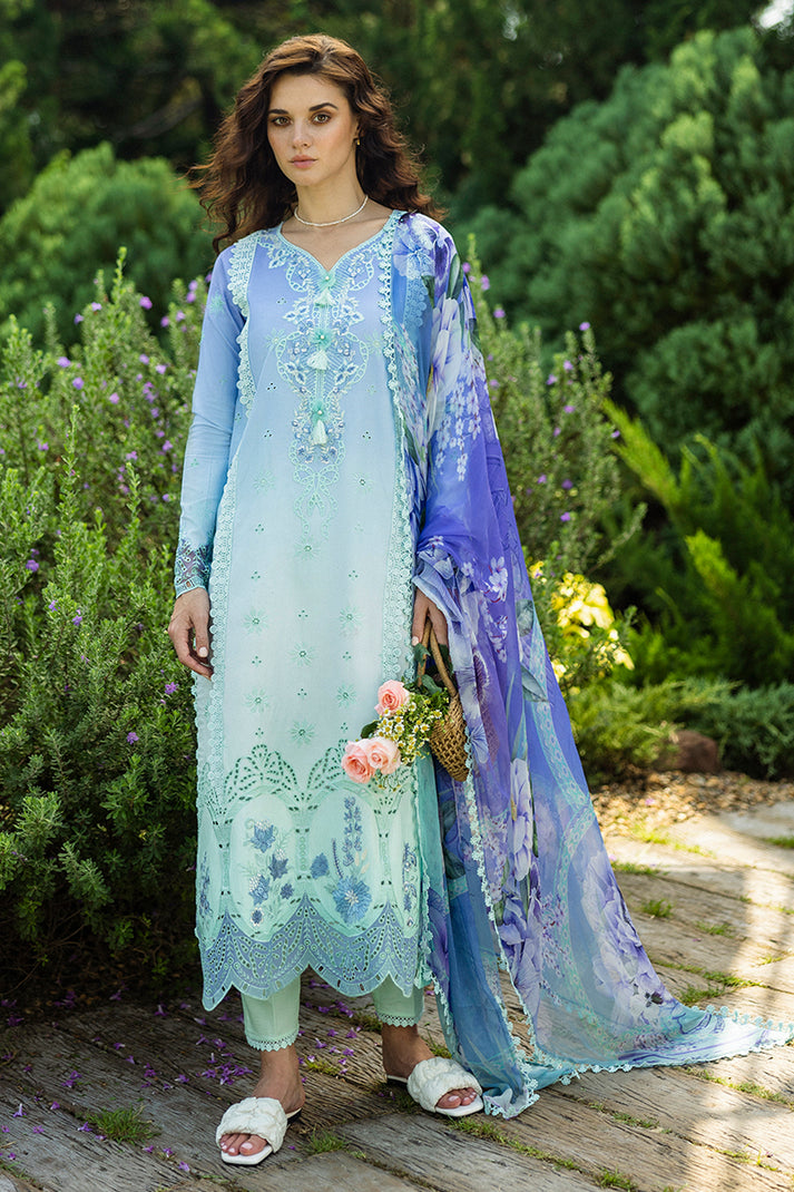 Mushq - Ombre Chickenkari Solace '25