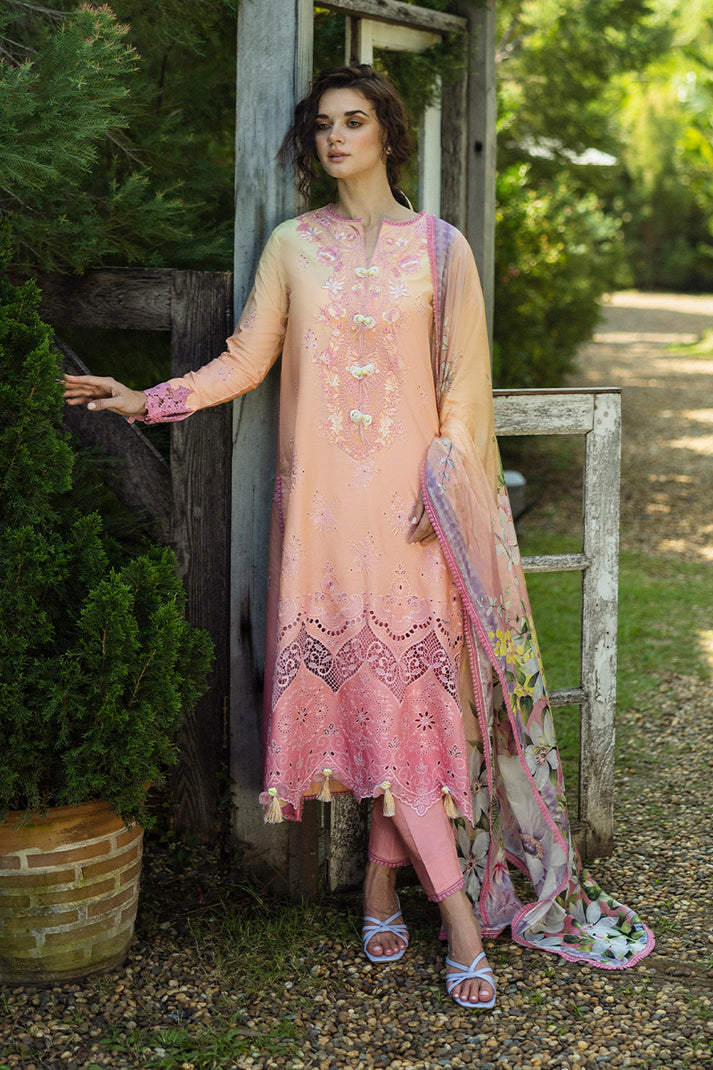 Mushq - Ombre Chickenkari Solace '25