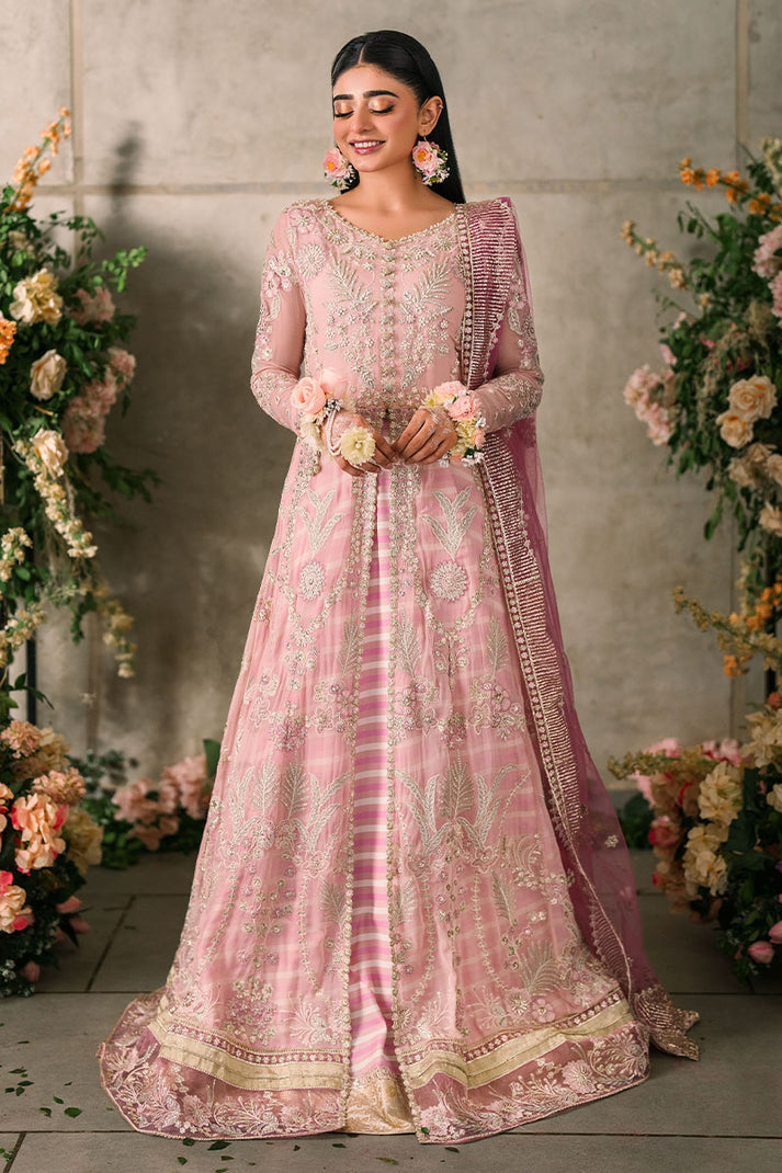 Mushq - Mastani Evening Luxury Chiffon Collection ’24