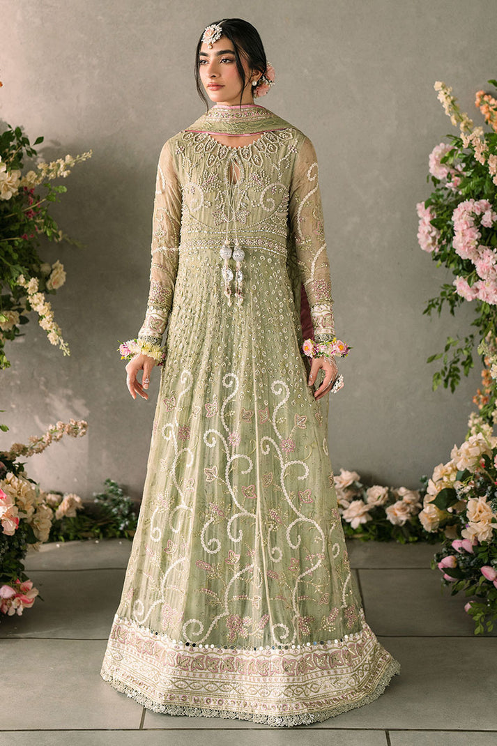 Mushq - Mastani Evening Luxury Chiffon Collection ’24
