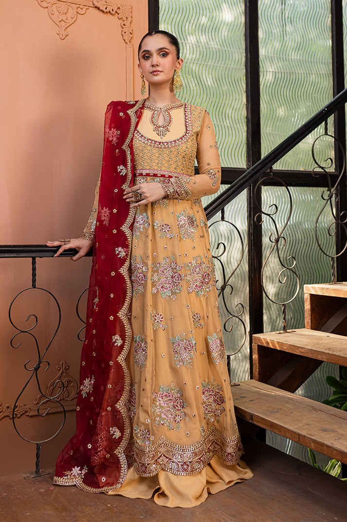 Roheenaz - Naira Chiffon Collection ’24