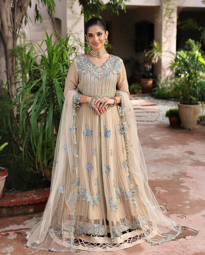 Roheenaz - Aangan Chiffon Collection '25