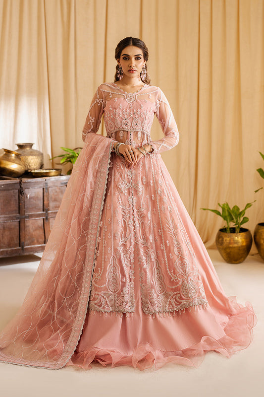 Zoya & Fatima - Festive Drop II '24