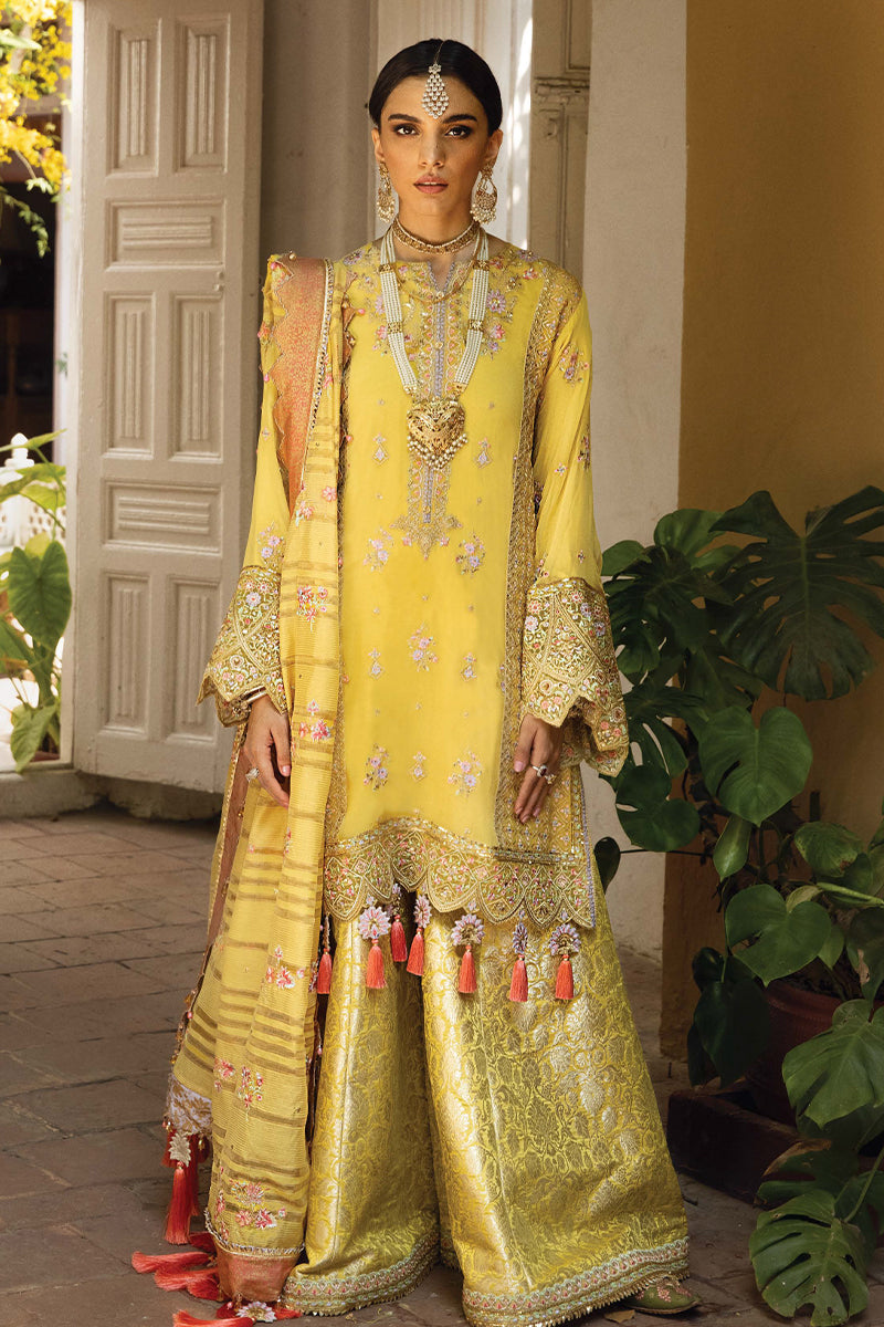 Anaya by Kiran Chaudhary X Kamiar Rokni - Wedding Collection