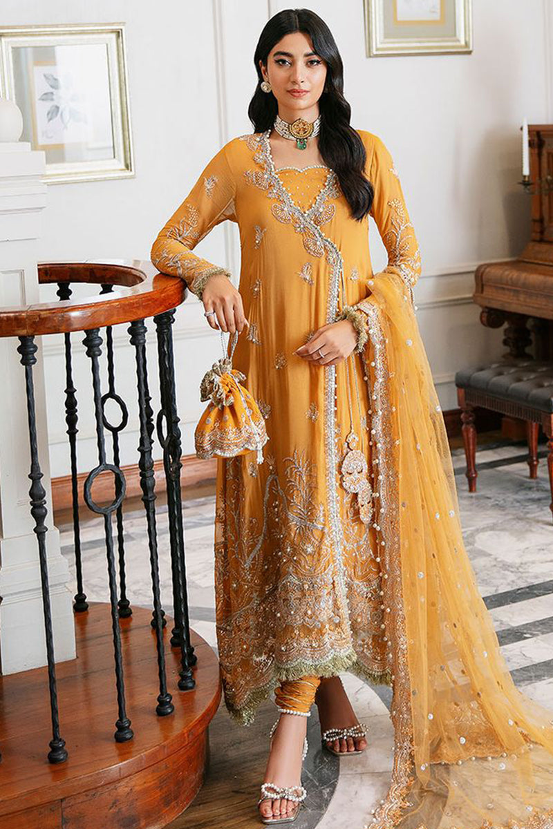 Roheenaz - Kalidaar Chiffon