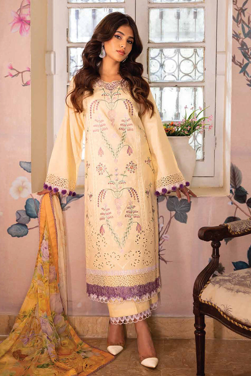 Roheenaz - Tabeer - Summer Vol: I