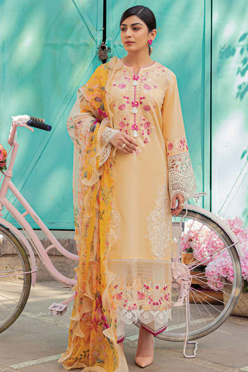 Hemline By Mushq - Tesoro '23