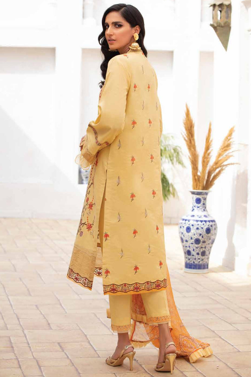 Roheenaz S/S'22 Volume 1