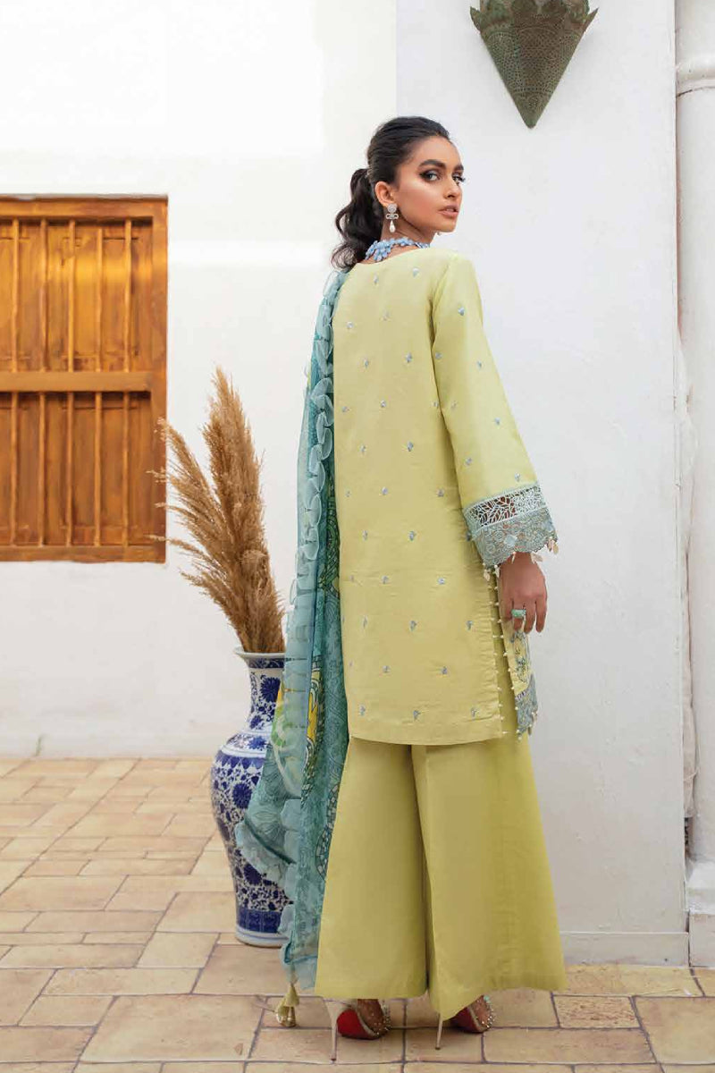 Roheenaz S/S'22 Volume 1