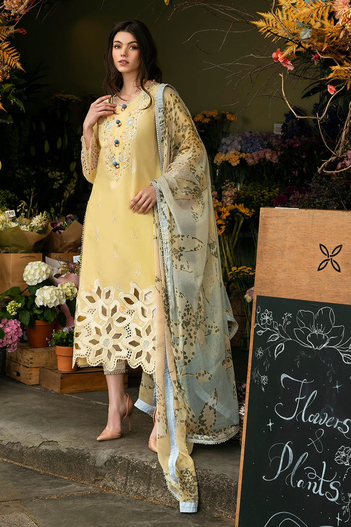 Mushq - Hemline Odyssey Chikankari Lawn Collection '24