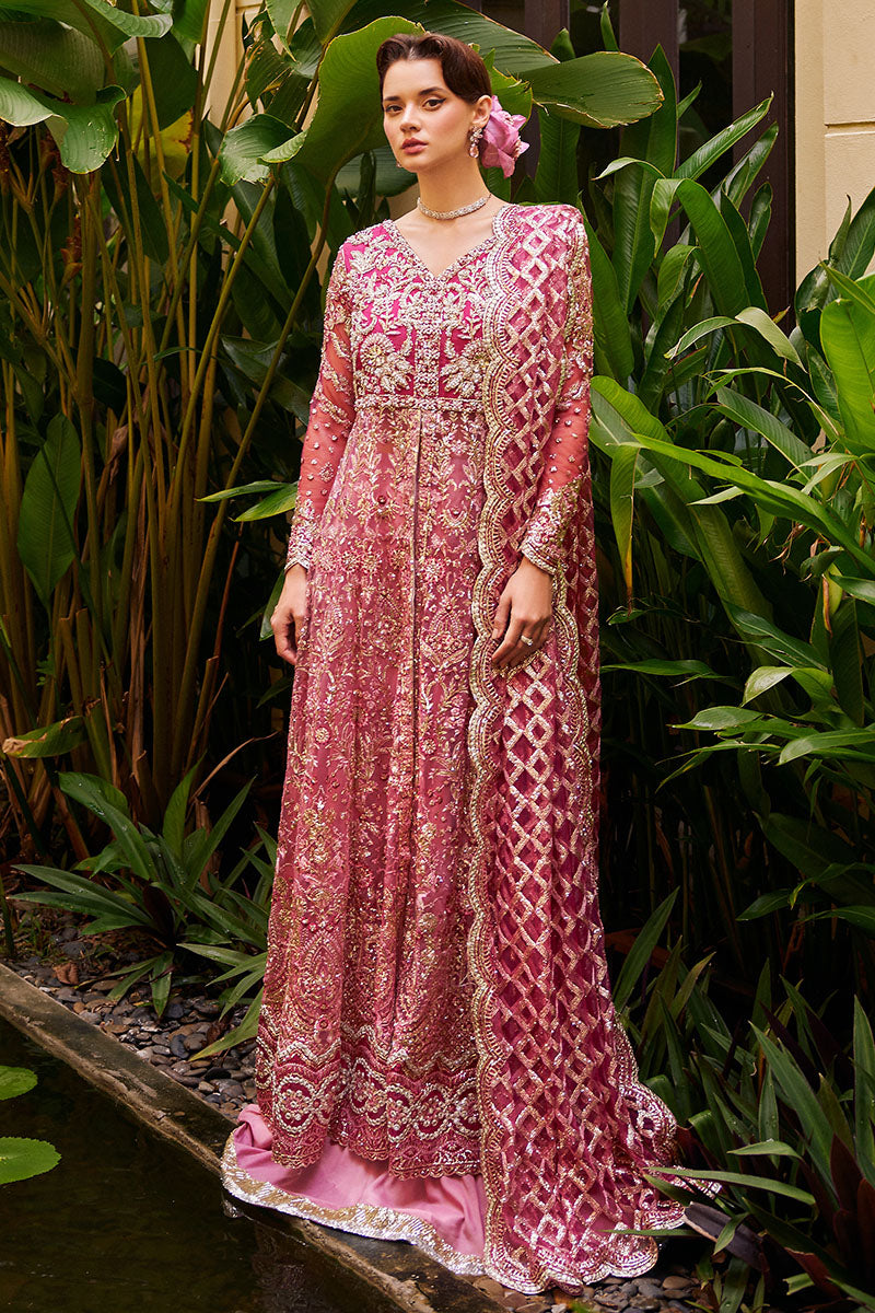 Mushq- Wedding Unstitched Stardust Collection '23