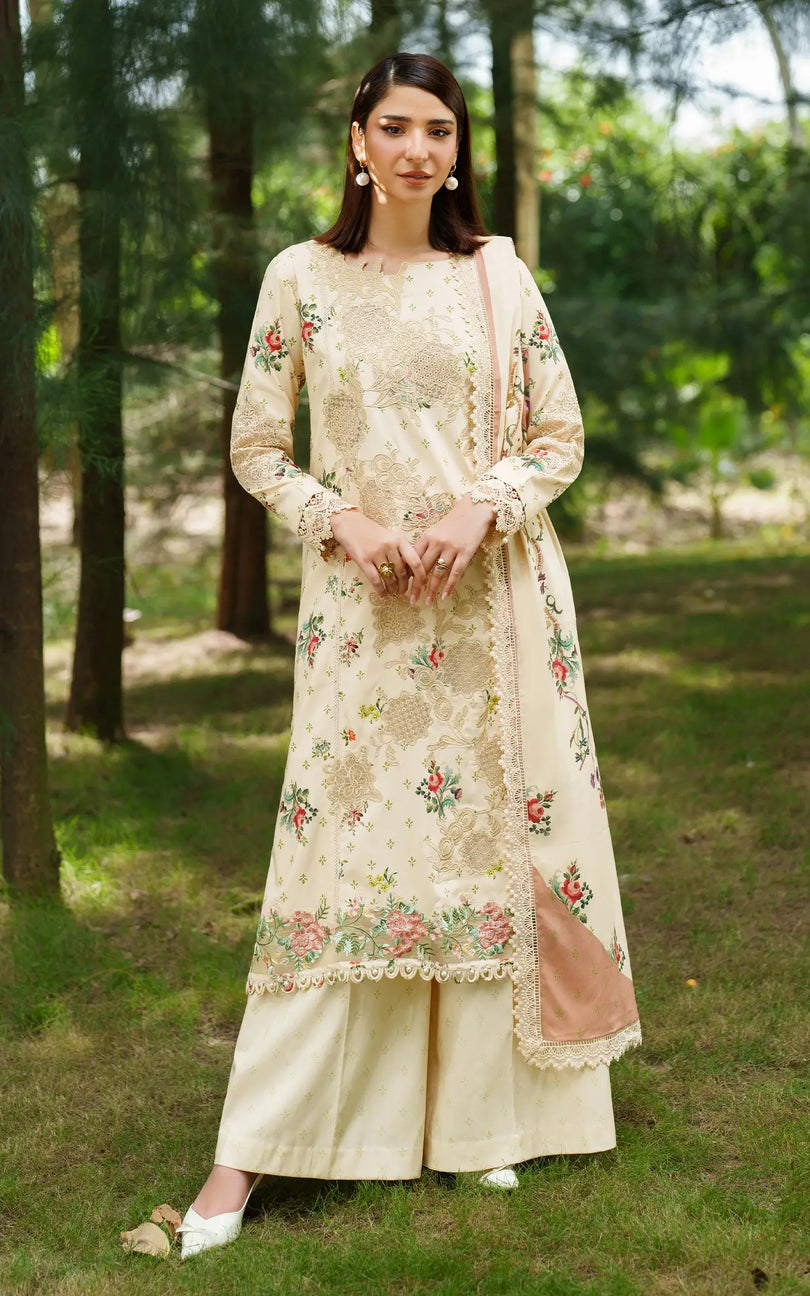 Asifa & Nabeel - Meraki Winter Collection '25
