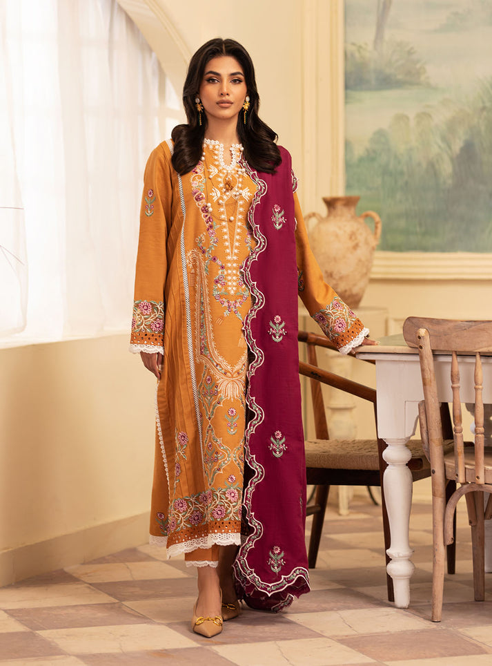 Roheenaz - Meraki Winter Collection '24