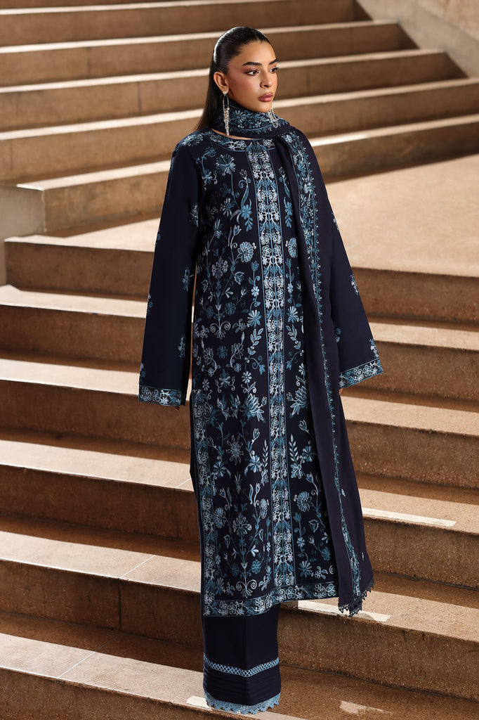 RajBari - Winter Shawl Exclusive Collection '25