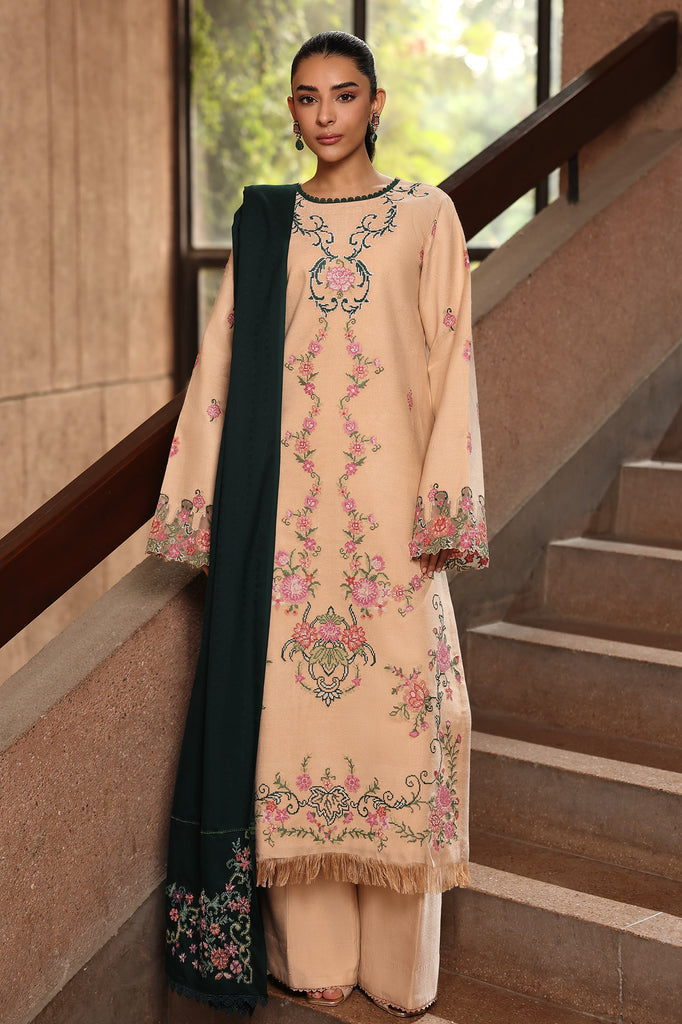 RajBari - Winter Shawl Exclusive Collection '25