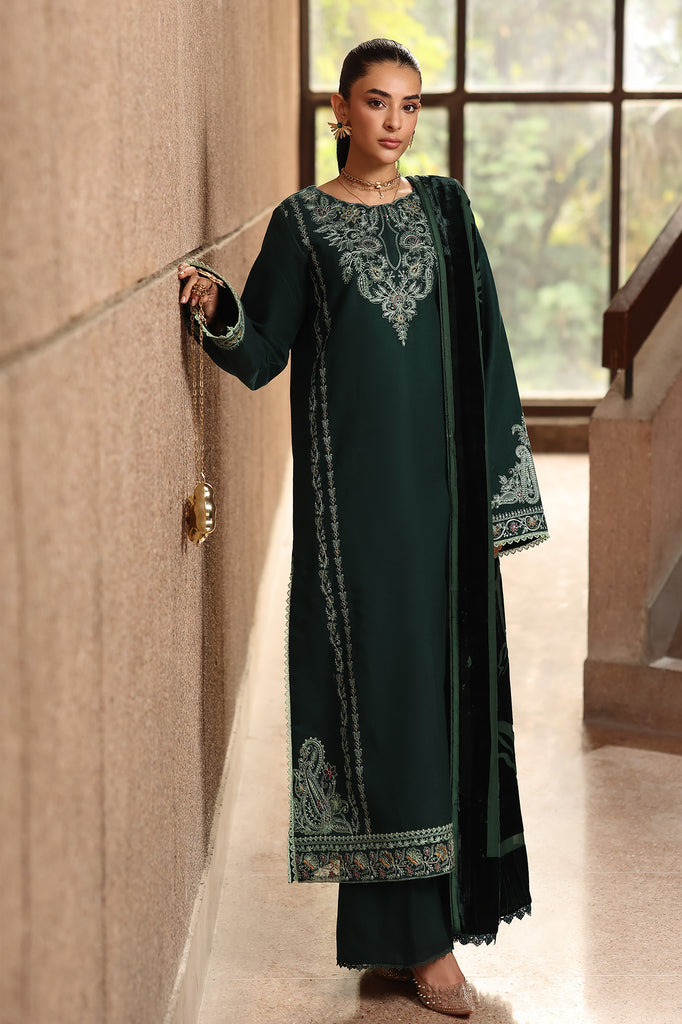 RajBari - Winter Shawl Exclusive Collection '25