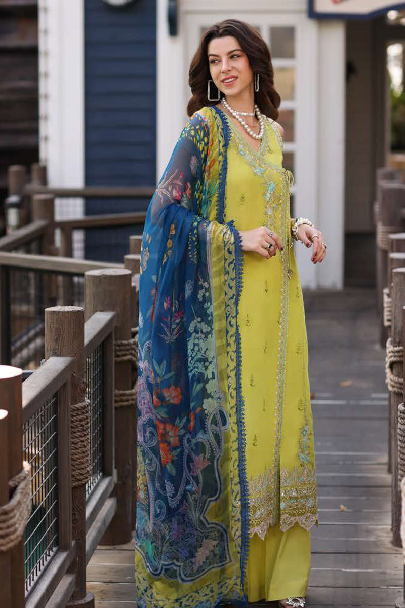 Noor by Sadia Asad - Luxe Printkari Collection